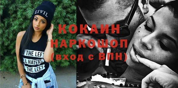 хмурый Бородино