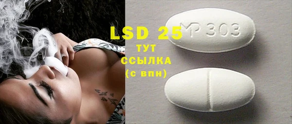 хмурый Бородино
