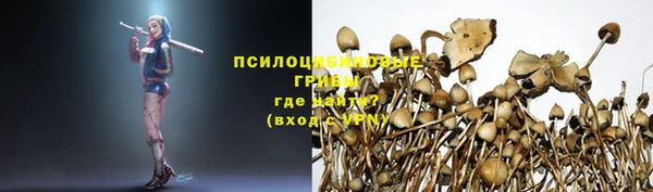 mdpv Бронницы