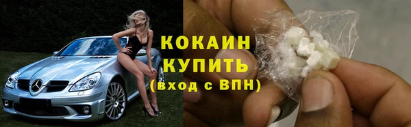 хмурый Бородино