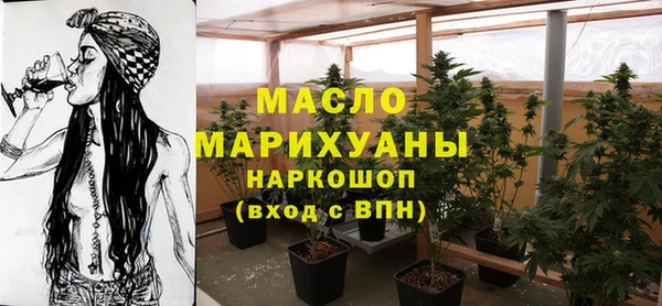 хмурый Бородино