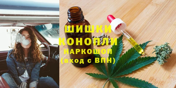 хмурый Бородино