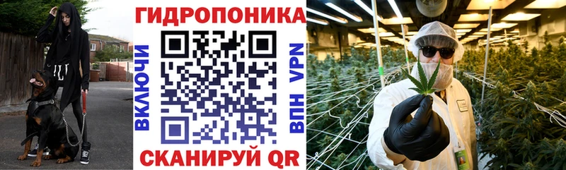 наркотики  Киржач  Бошки марихуана OG Kush 